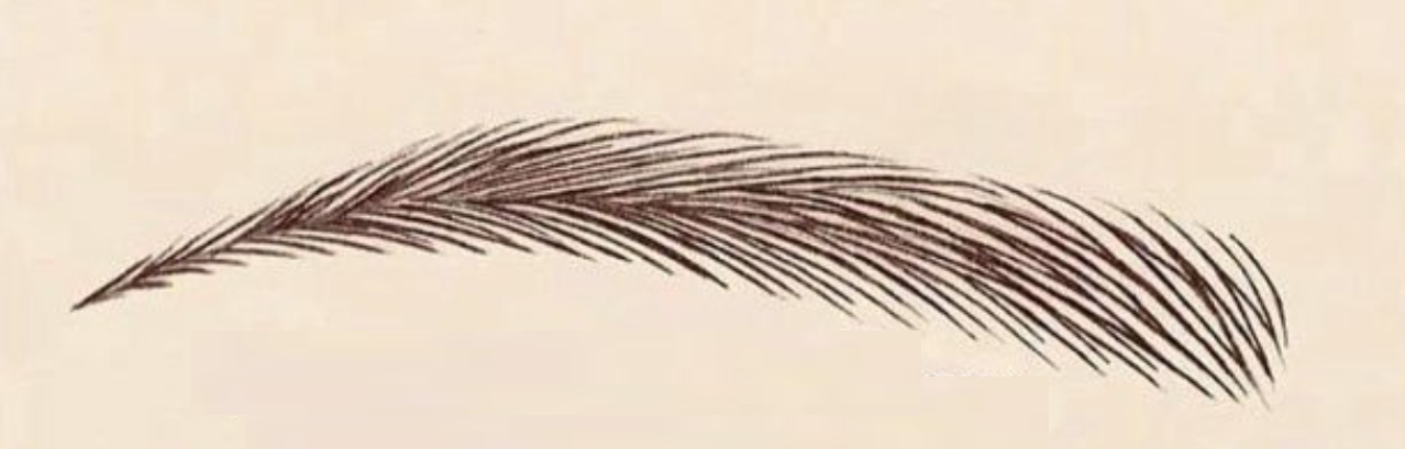 Technique microblading montrant des traits comme des poils